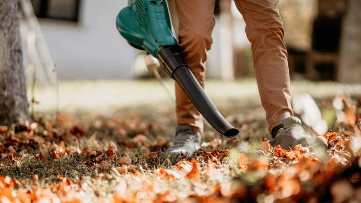 Person using a leaf blower to clear fallen autumn leaves from a yard, highlighting seasonal property maintenance and safety.