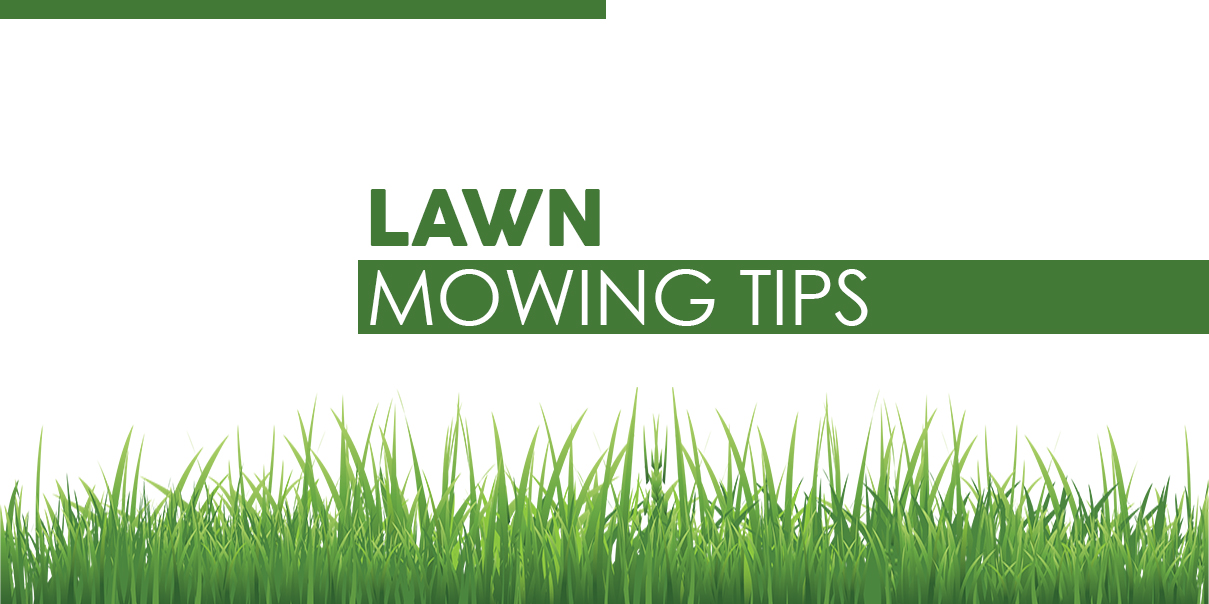 Tips For Mowing Lawns