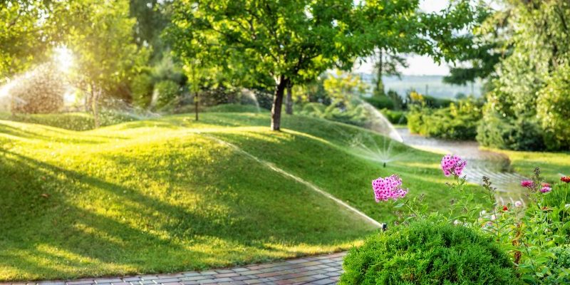 spring sprinkler start up