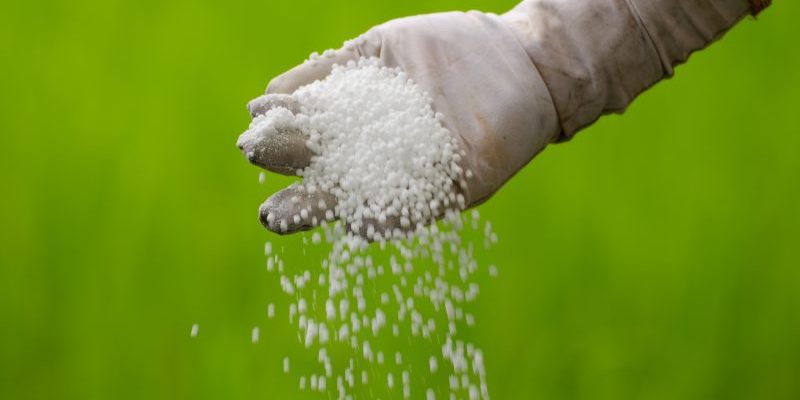 4 step fertilizer program