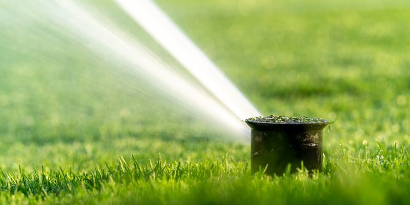 spring sprinkler start up