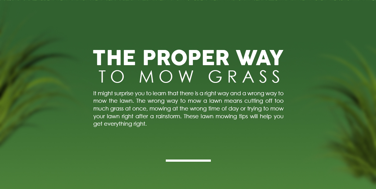 When To Mow Grass