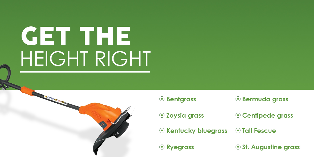 Best Height For Cutting Grass