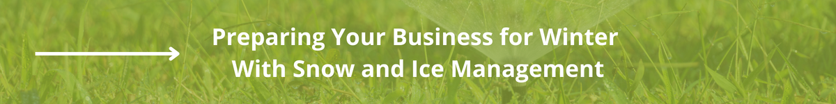 Preparing Your Business for Winter With Snow and Ice Management CTA