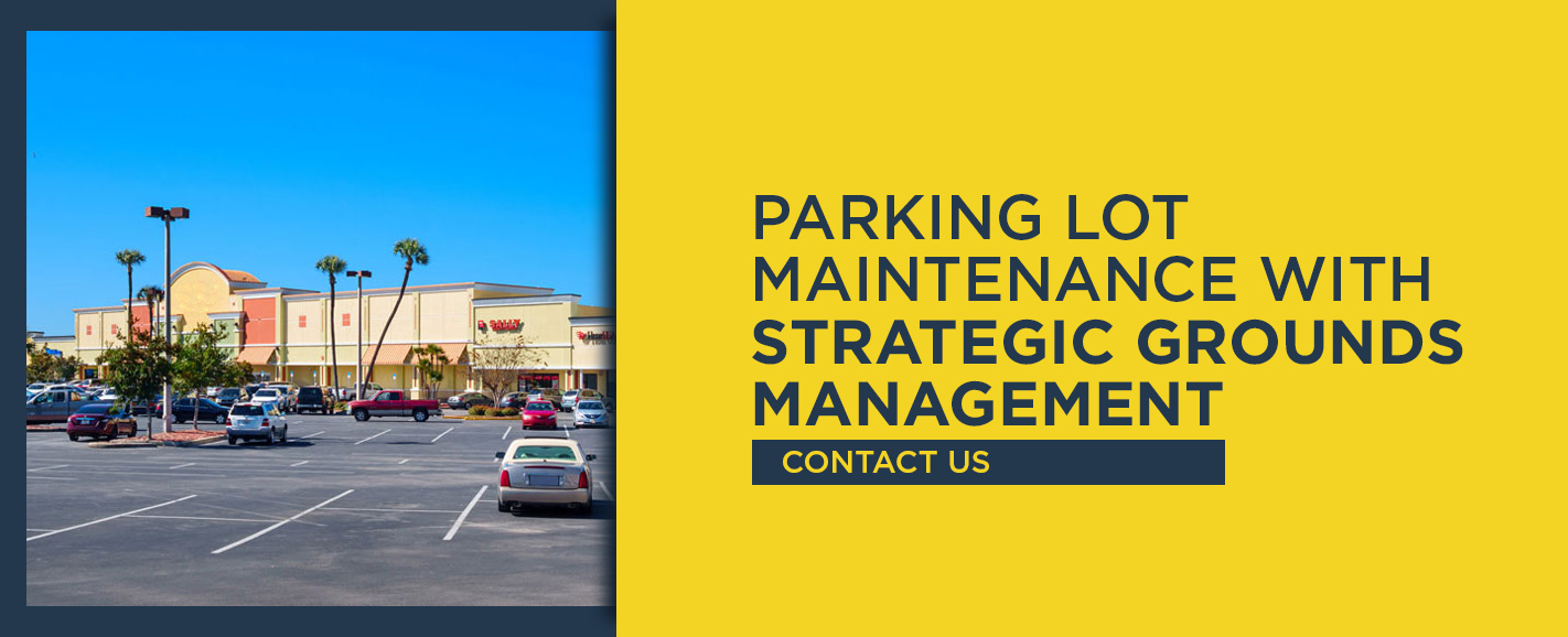Parking Lot Maintenance