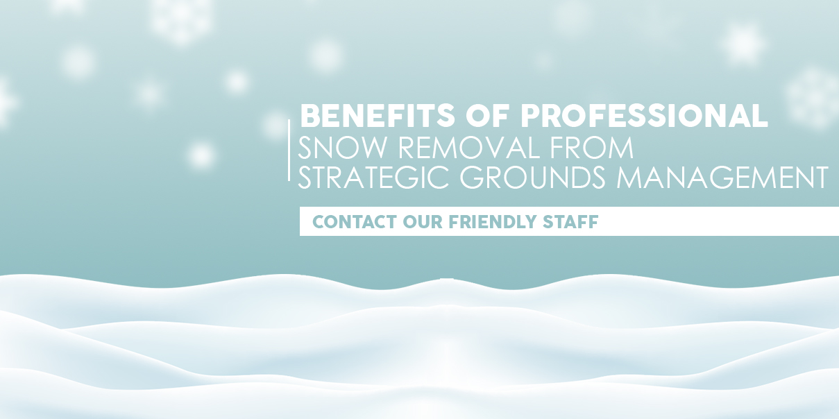 Snow and Ice Removal 