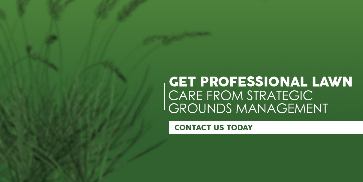 Professional Commercial Landscapers