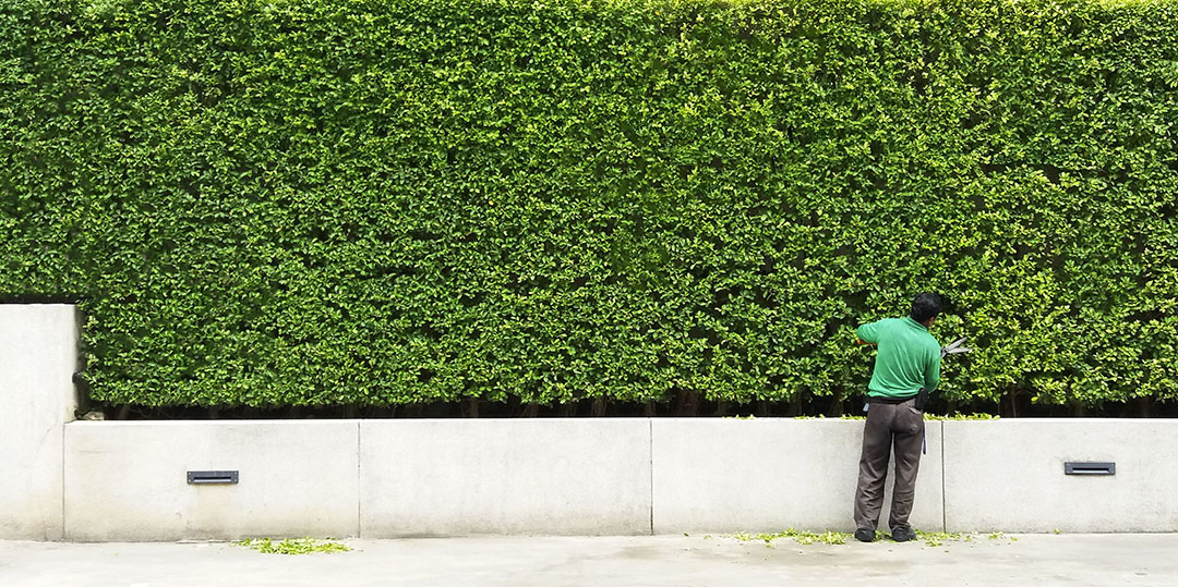 commercial landscaping