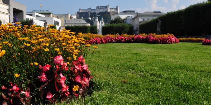 flower bed weed control services