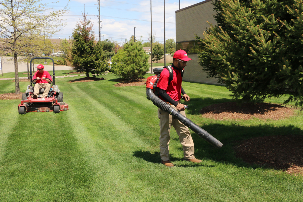 commercial lawn care contract