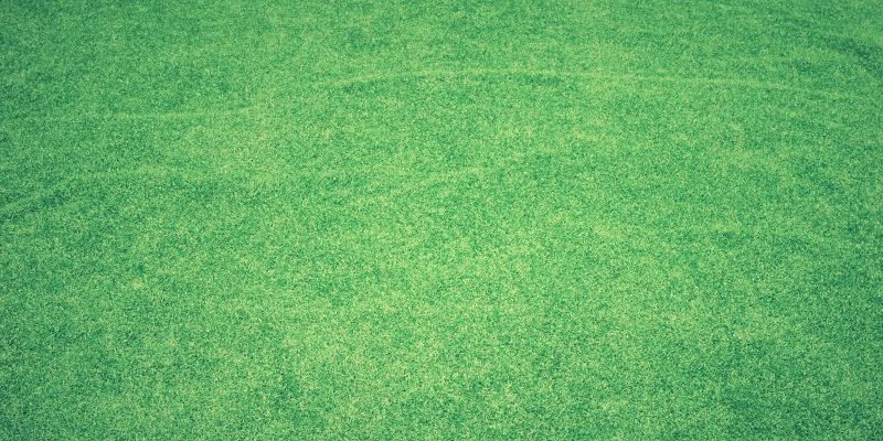 when to aerate lawn
