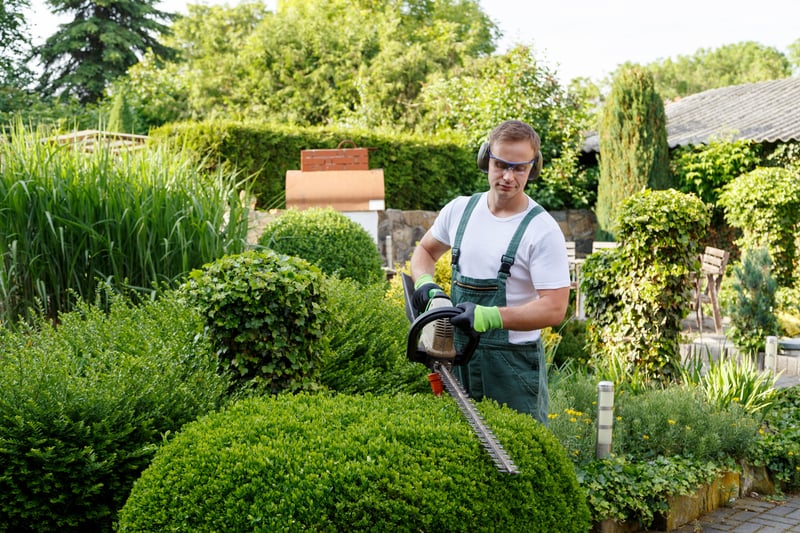 commercial lawn care contract