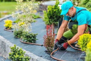 man adjusting sprinkler system