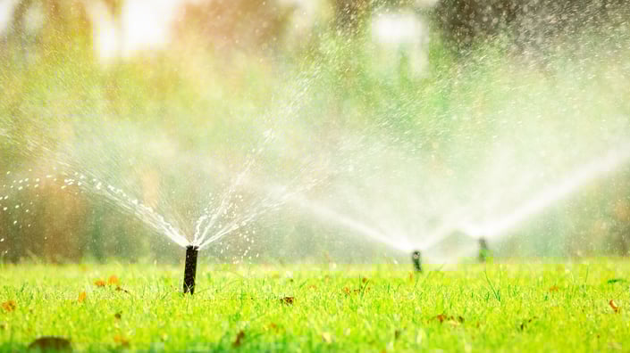 Close-up of lawn sprinklers watering green grass, illustrating the importance of irrigation system care and seasonal shutdowns.