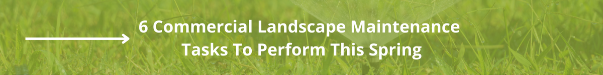 6 Commercial Landscape Maintenance Tasks To Perform This Spring CTA